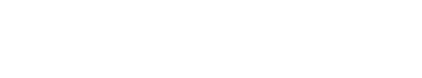 Endace logo_white
