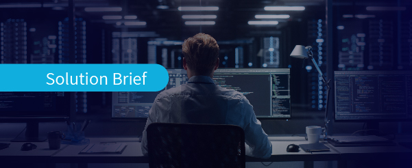 Solution brief - Niagara Networks and Endace