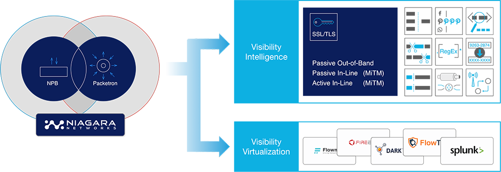 SSL-TLS-Visibility-Intelligence-Virtualization-min